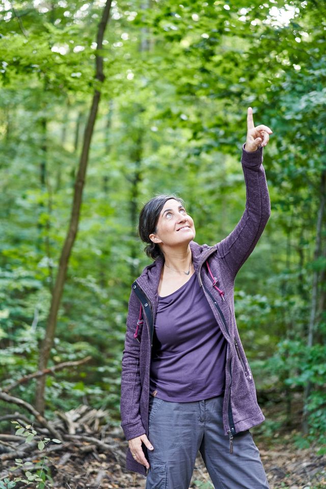 Kreisvernetzungstreff und Wahlkampfkommission