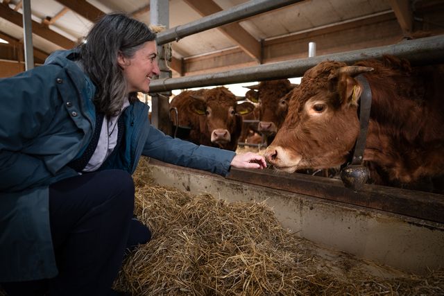 Landwirtschaft im Hexental: Sonners Heinehof
