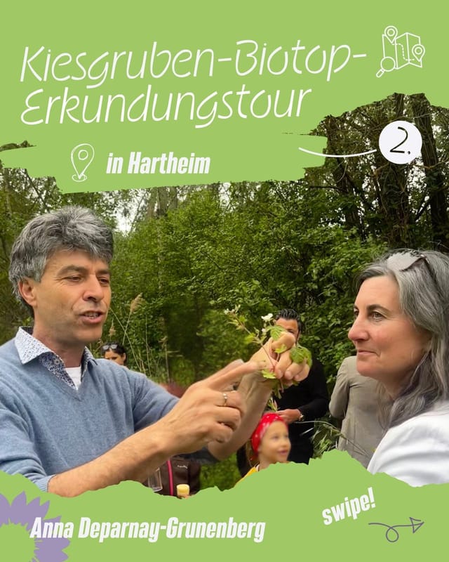 Biotop-Erkundungstour beim KiWi-Oberrhein Afterwork